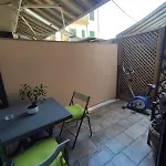Il Bonsai