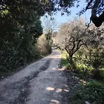 Campernellanaturainfirenze
