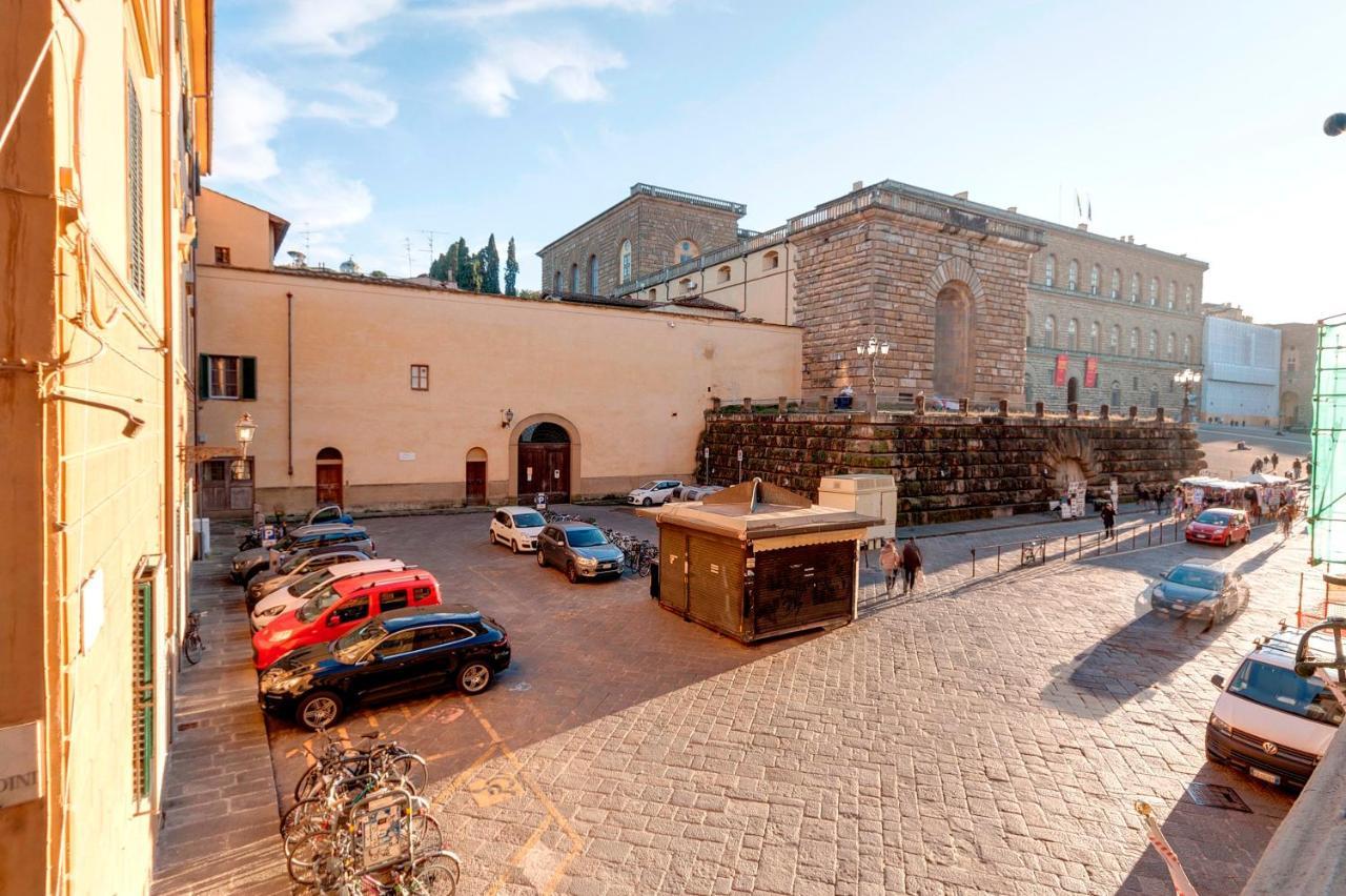Apartment Pitti 24 *
