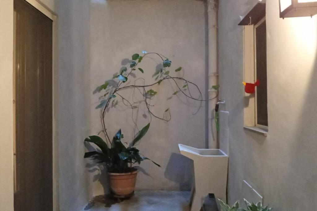 Appartamento A Due Passi Dal Centro Firenze