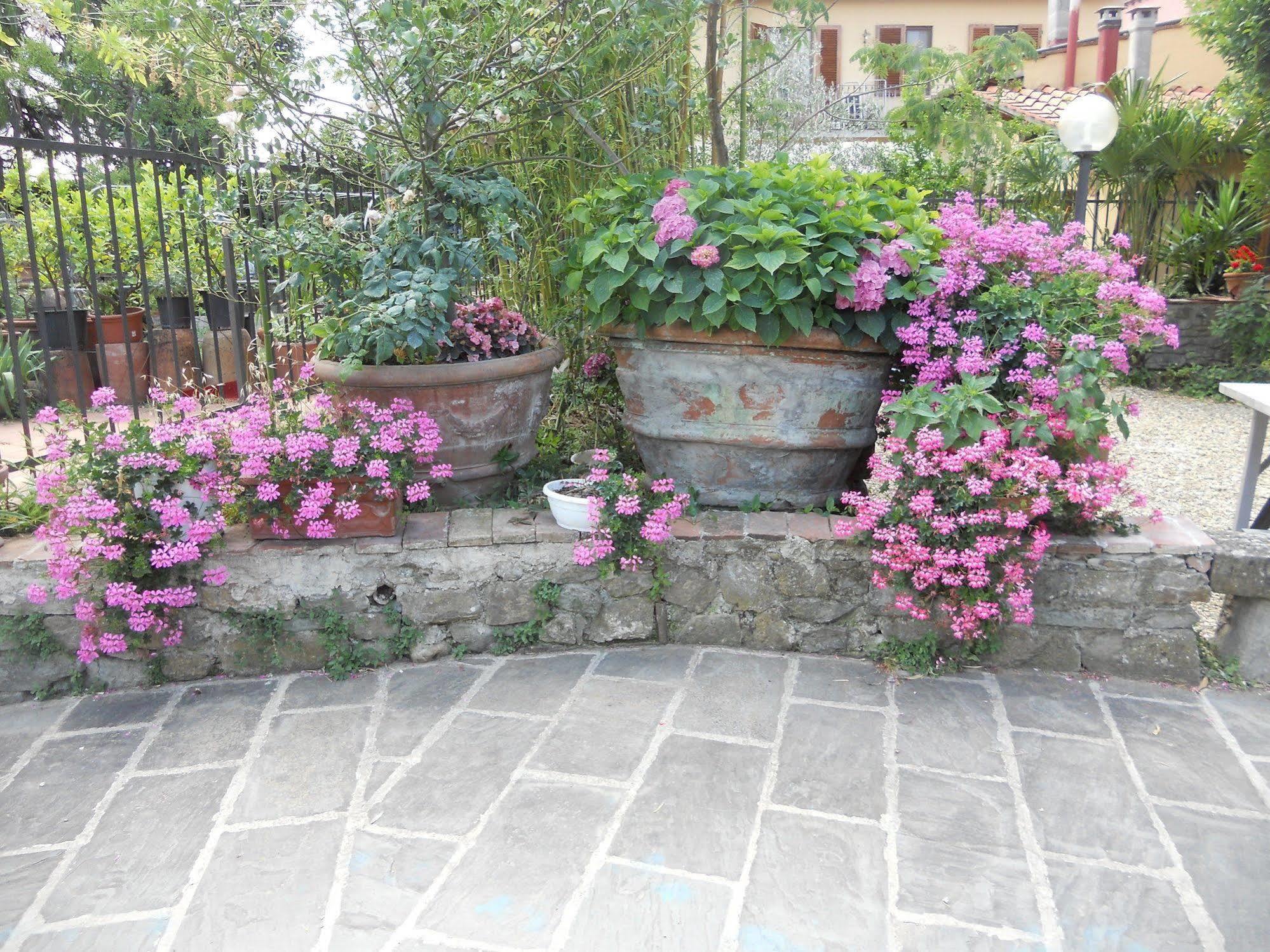 Farm stay Le Macine Florence