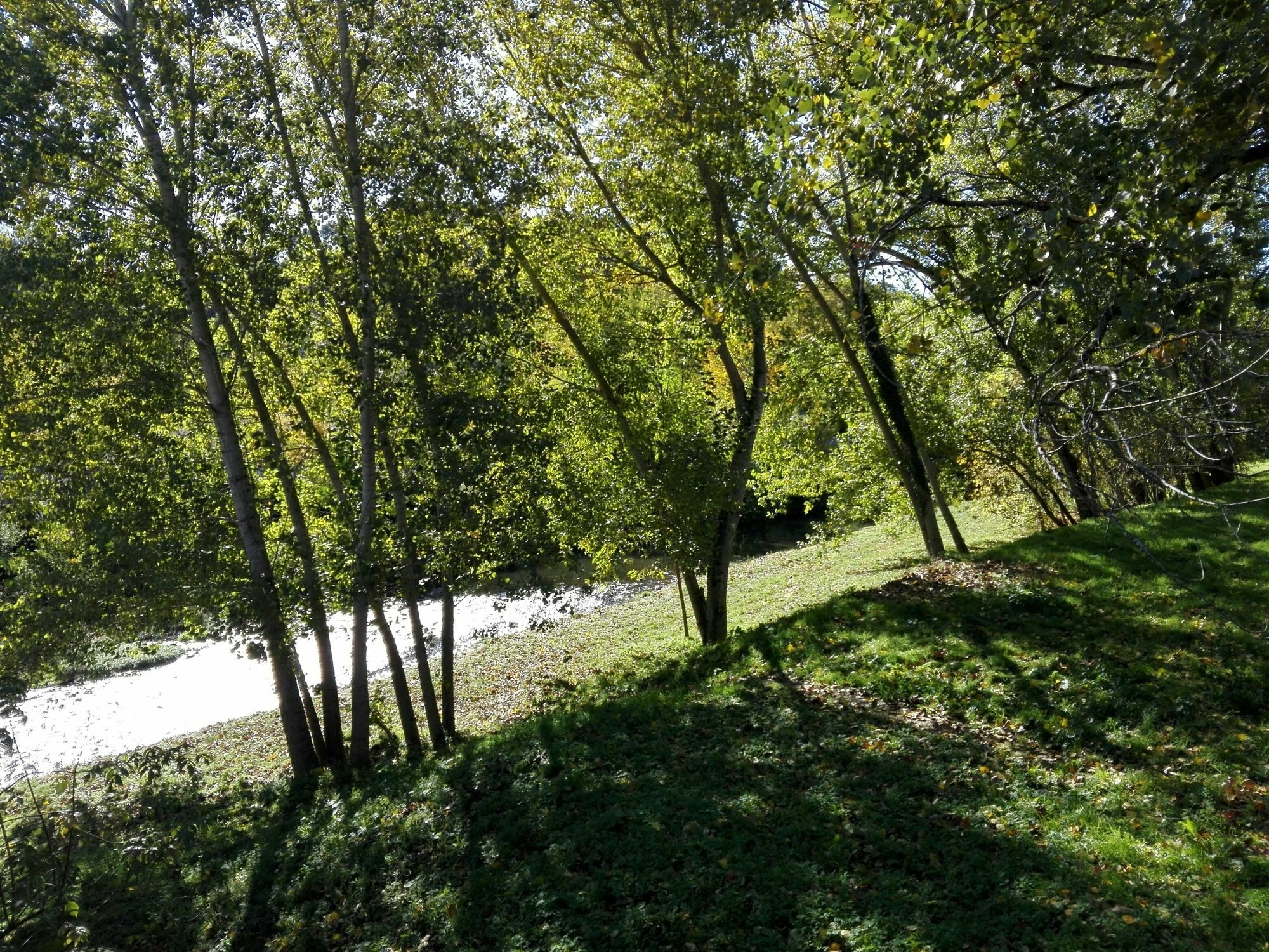 Bed & Breakfast Relais Dante E Beatrice Florence