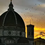 Duomo studio