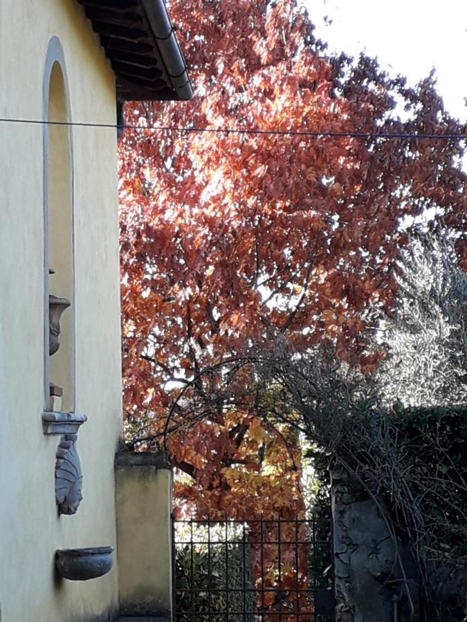 Le Pergole- Affittacamere Firenze