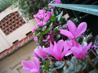 Morandi Hotel 3*