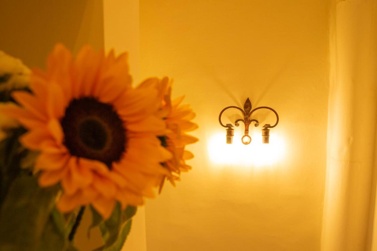 Apartment L'oziorinco