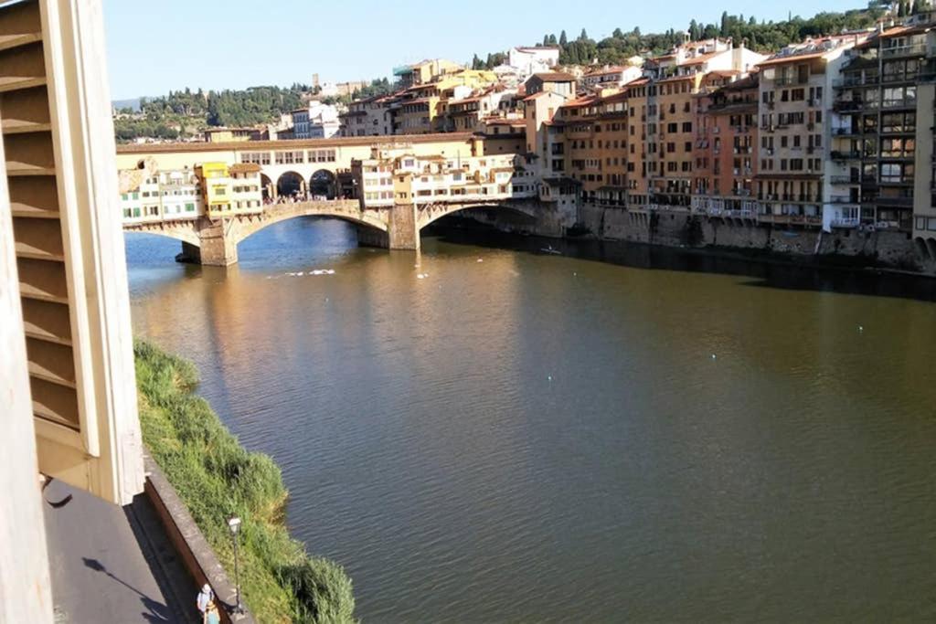 Pini * Firenze