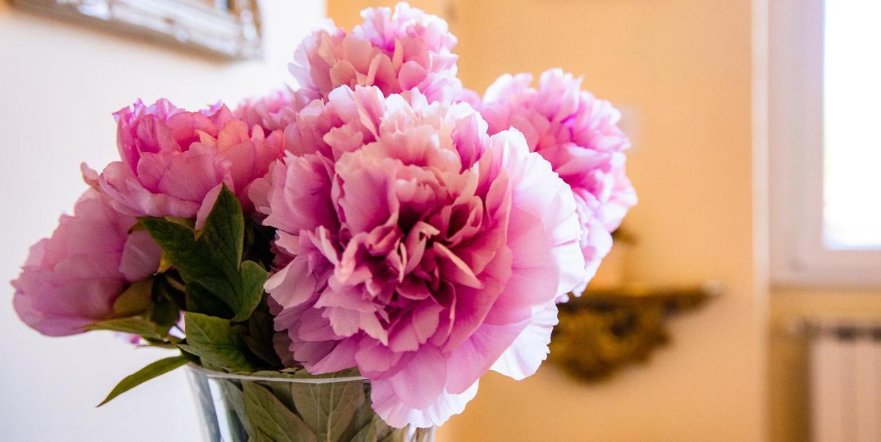 Il Palagetto B&B Bed & Breakfast 3*