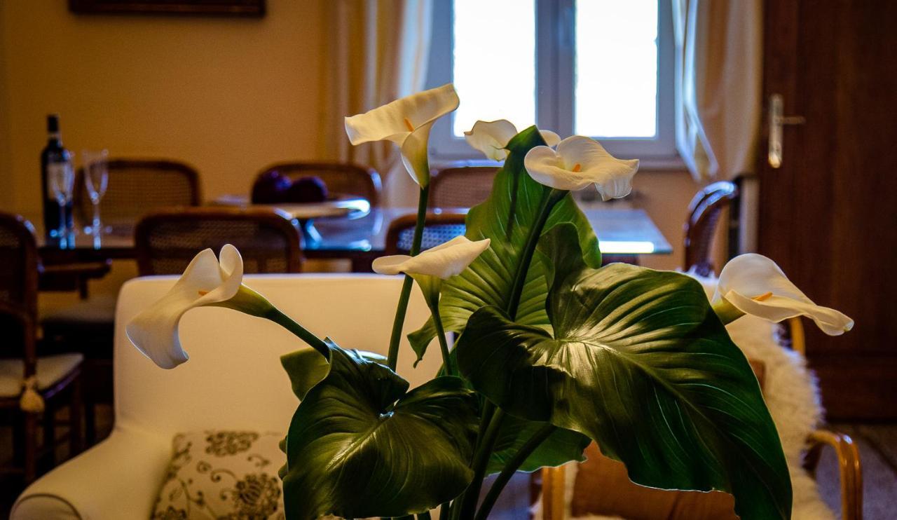 Bed & Breakfast Il Palagetto B&B Florence