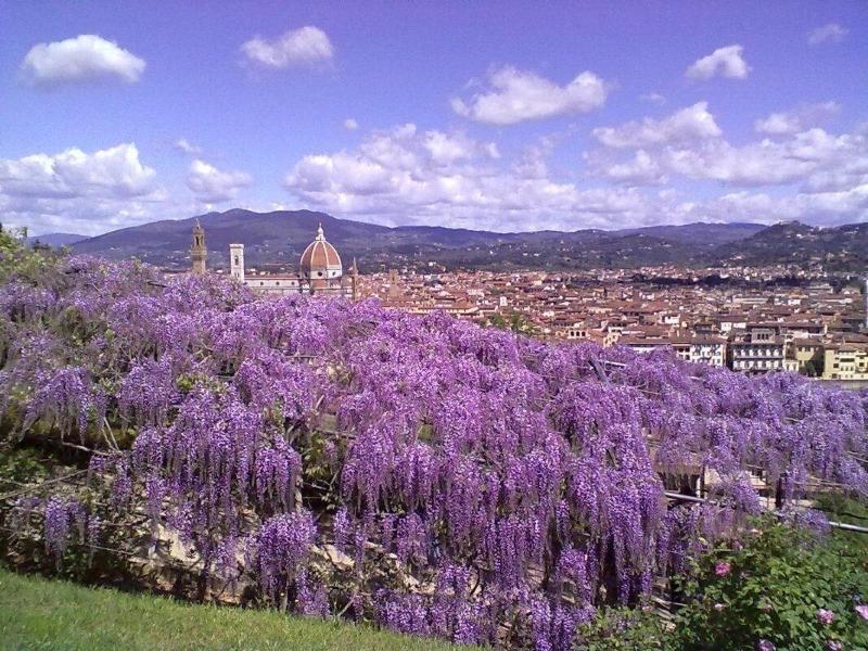Alessandra Firenze