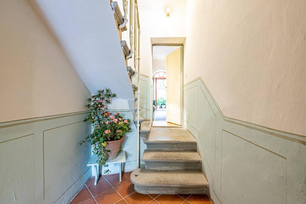 Central And Cosy Pied-a-terre W/ Free Parking Apartment