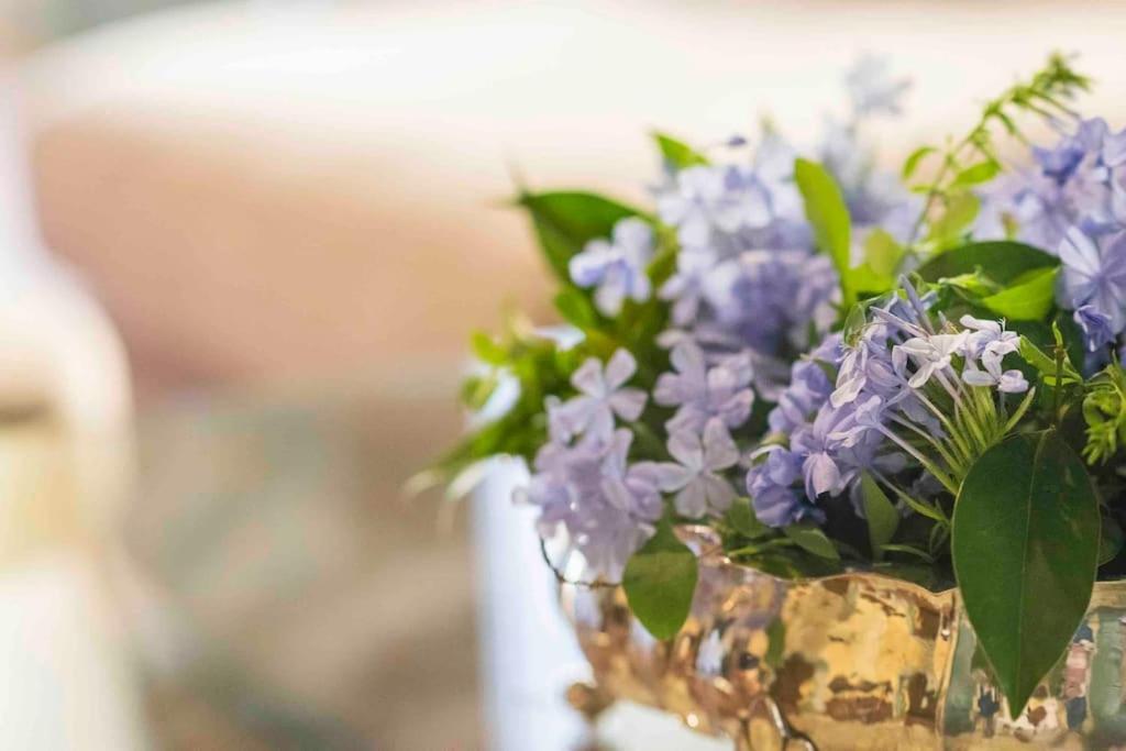 Ginny's House- Borgo La Croce Luxury * Firenze
