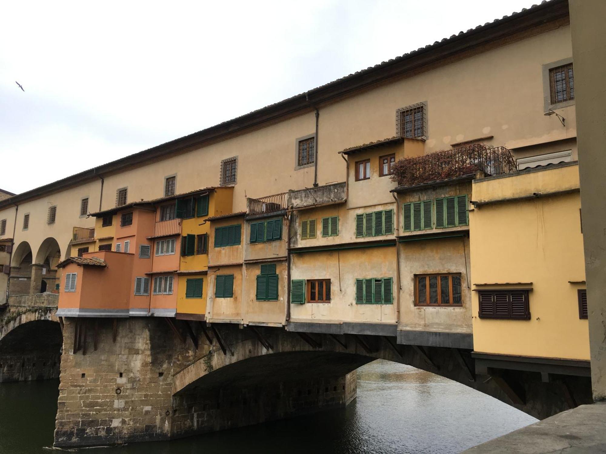 La Tana Dei Leoni Firenze