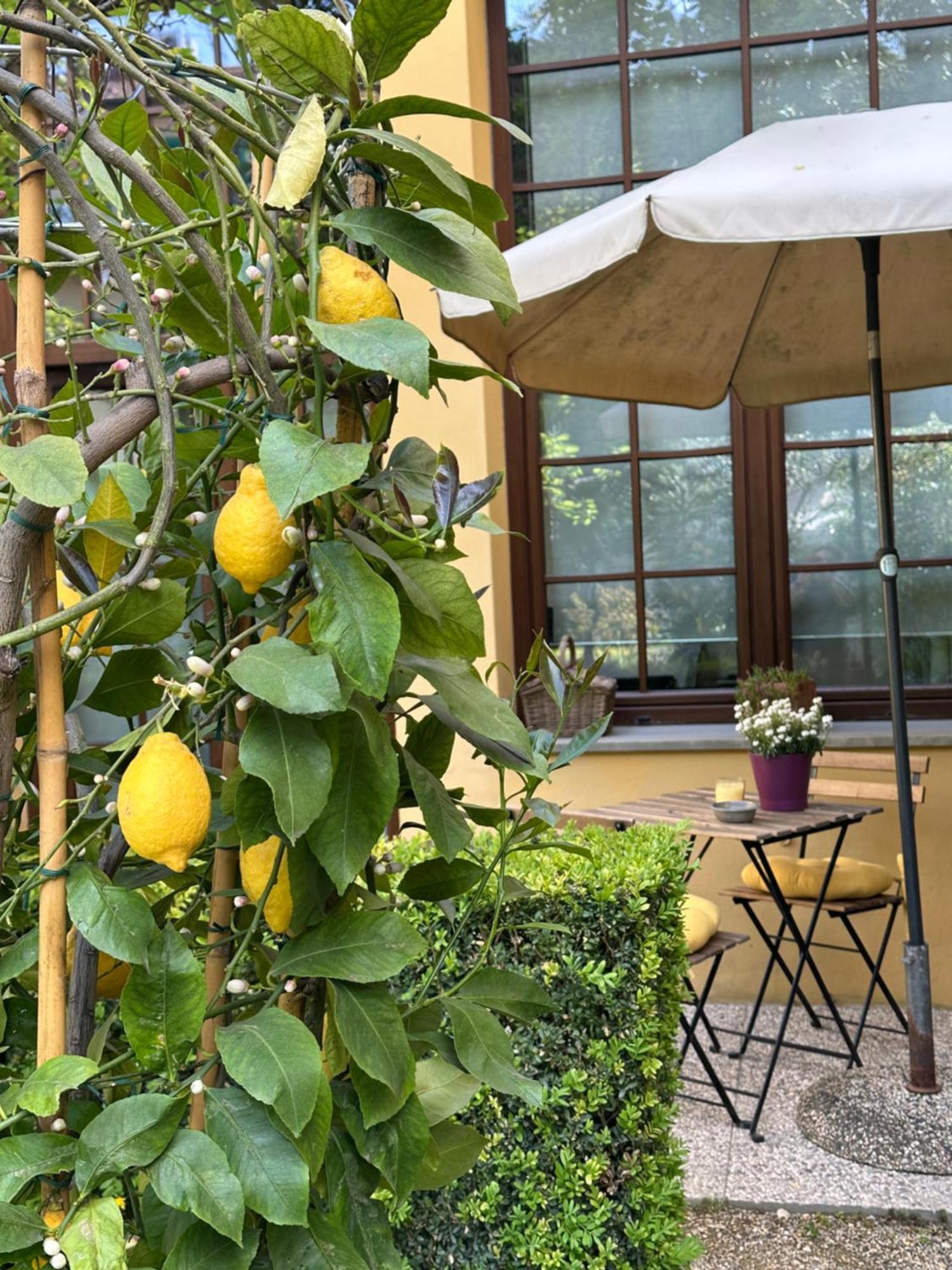 Apartment La Limonaia *