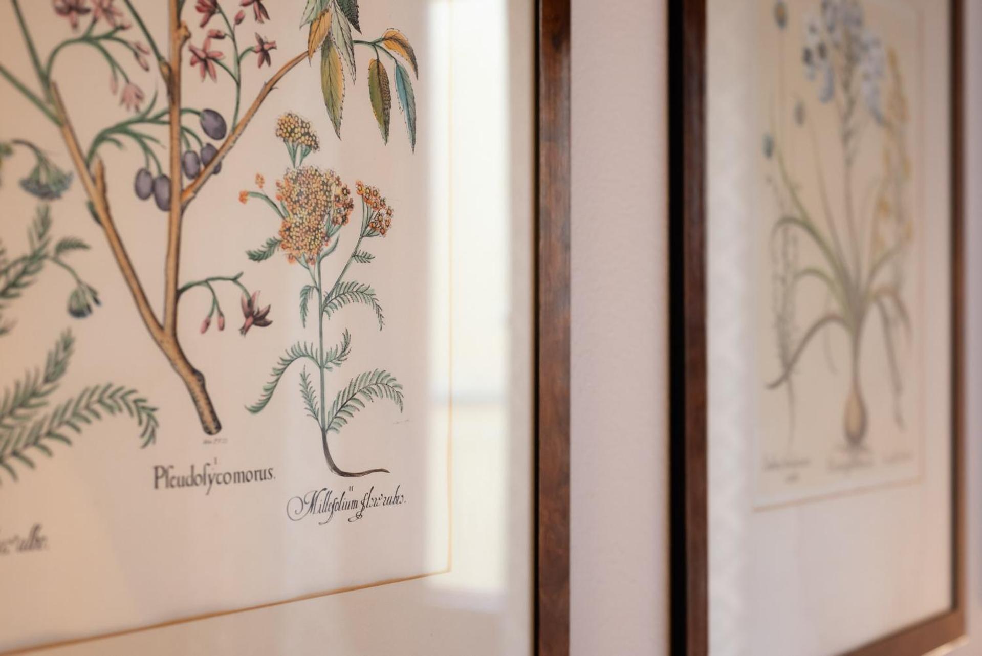 Hotel Morandi