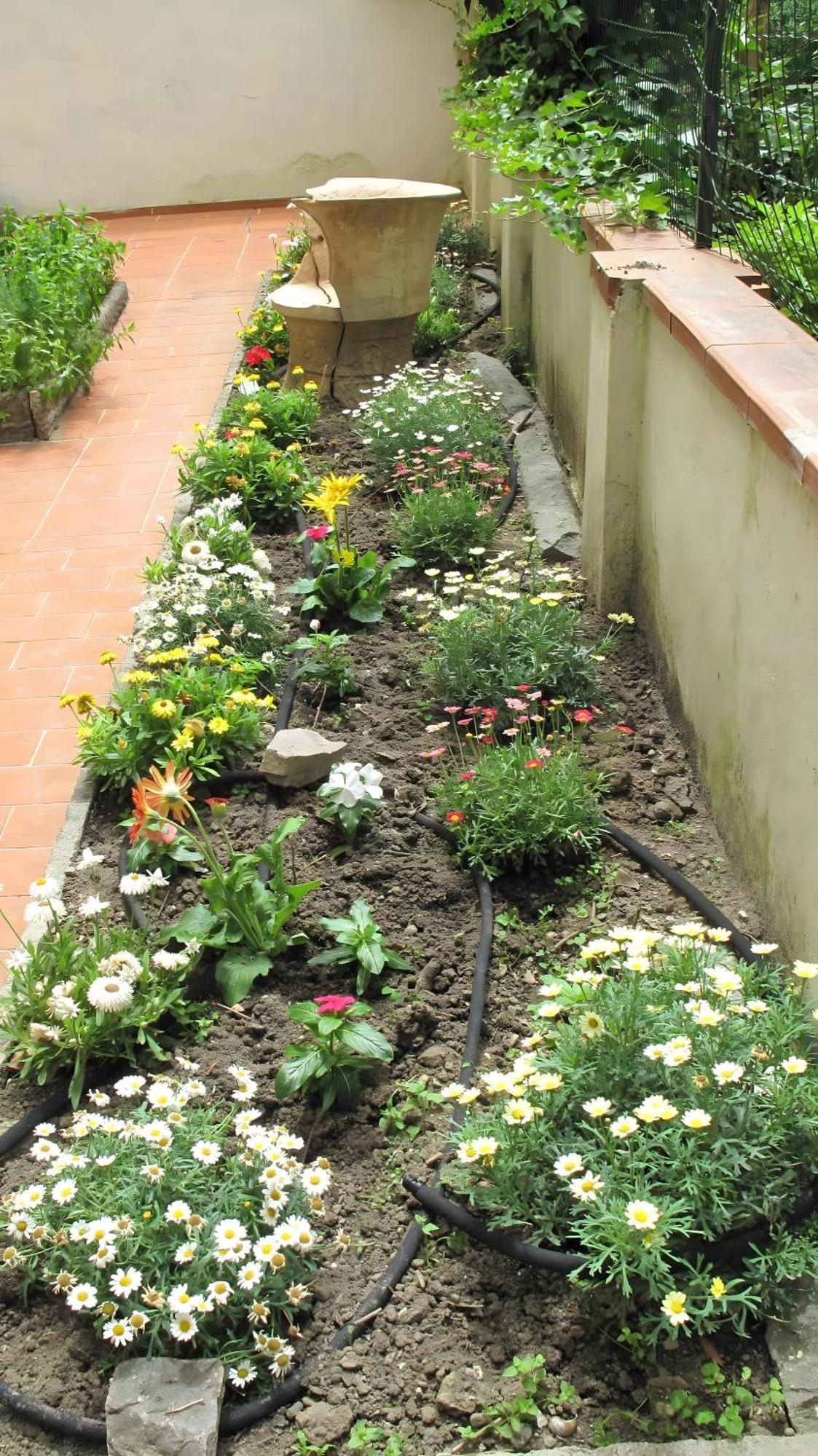 Le Petit Jardin Center * Florence
