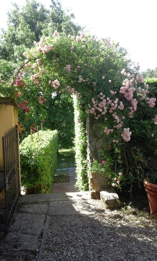 Affittacamere Le Pergole- Firenze