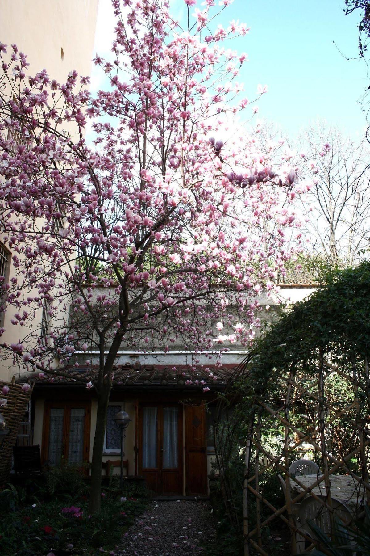 Guest house Casa Corsi