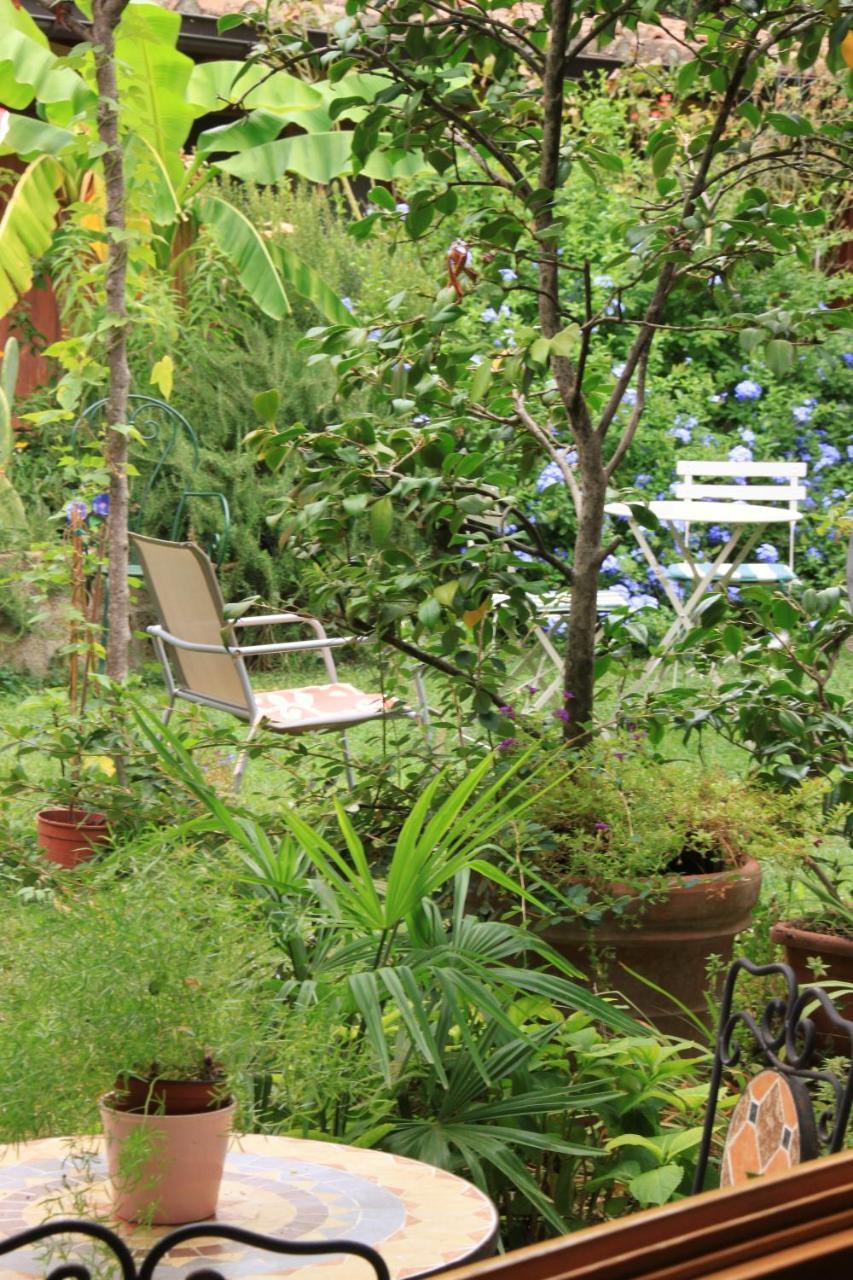 Appartamento Garden Terrace Oltrarno *