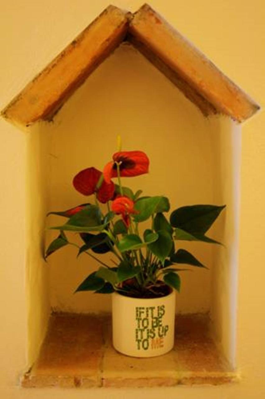 Guest house Casa Corsi 2*