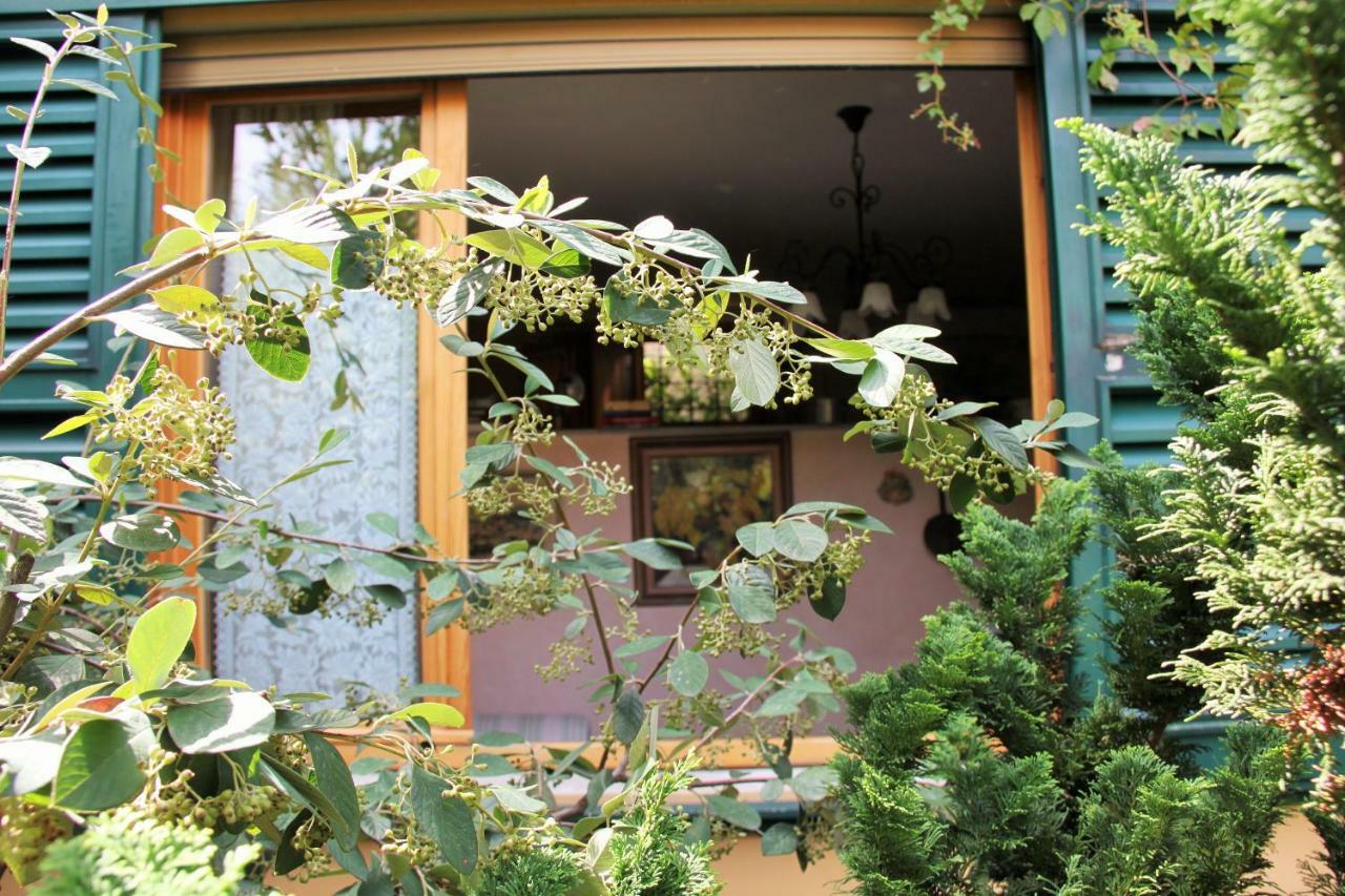 Garden Terrace Oltrarno Appartamento