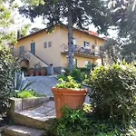 Ulivi Di Castello