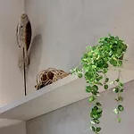 Mamo Florence - Conce Apartment