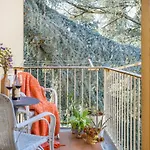 Room San Frediano