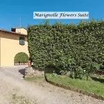 Marignolle Flowers Suite