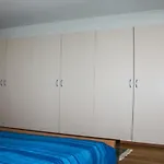 Zeus Rooms Superior