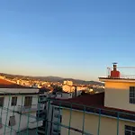 Attico Nesi