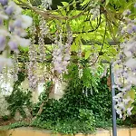 Casa Il Patio