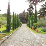 Ulivi Di Castello