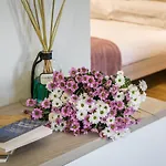 Acacia Firenze - Dalia