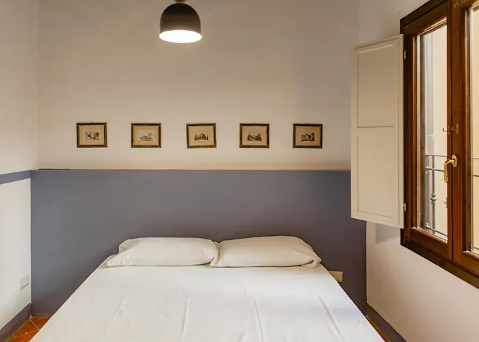 Big Apartment Near Piazza Santo Spirito