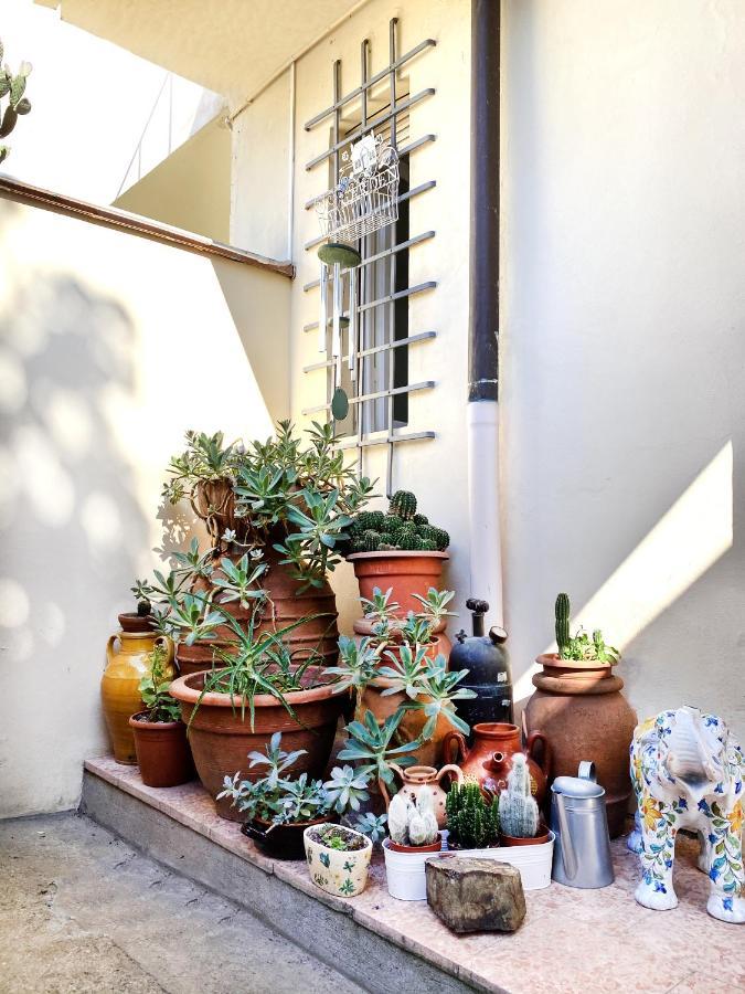 Casa Del Gelsomino E Del Nespolo *
