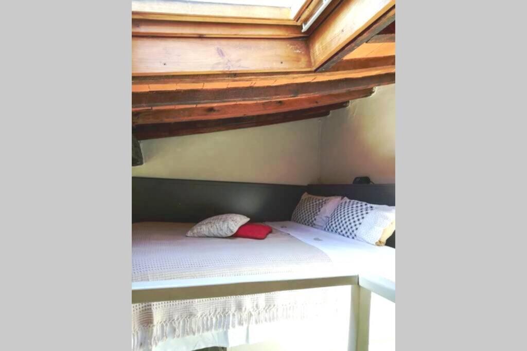 Central Loft Appartamento Firenze