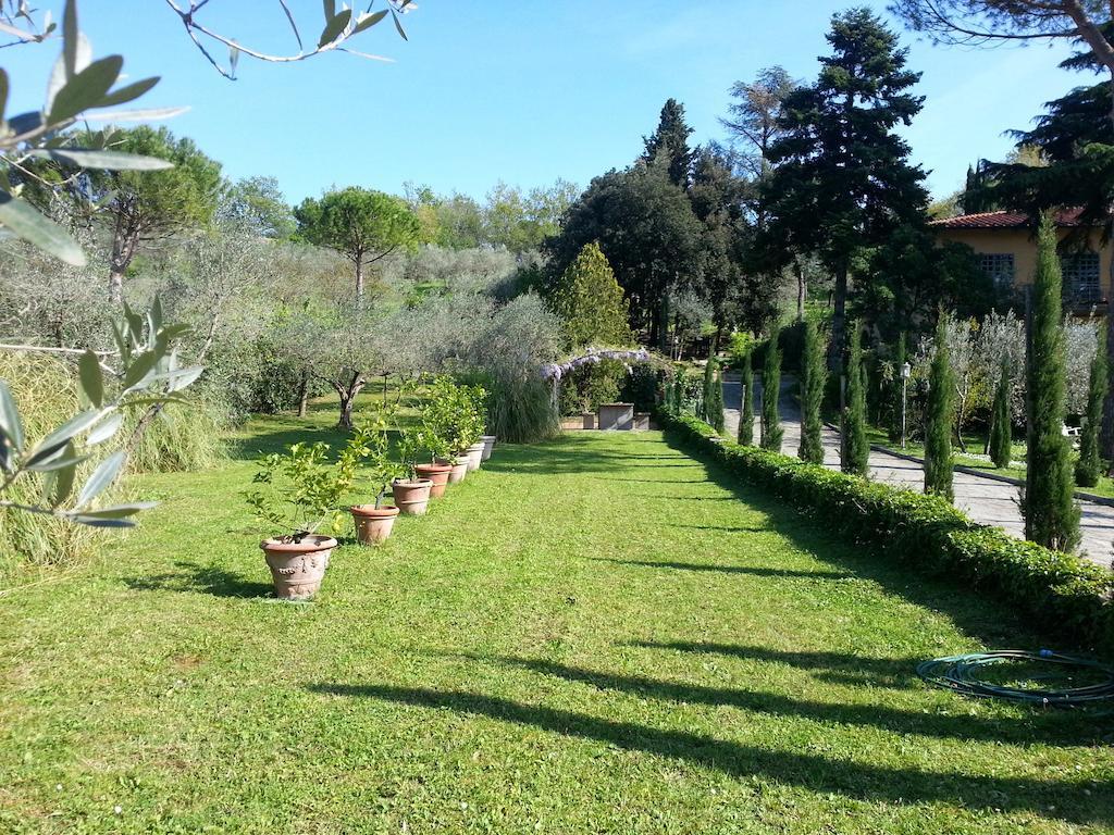 Ulivi Di Castello