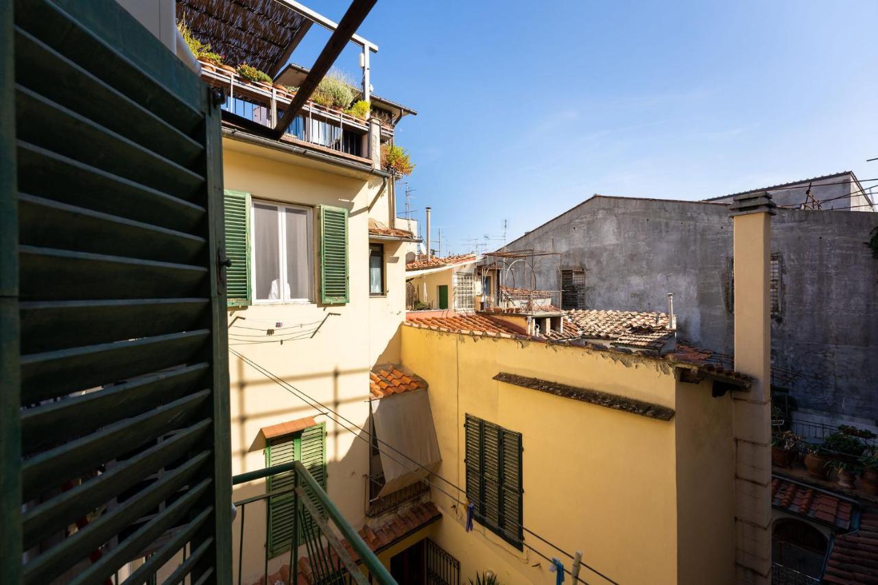 Comfort Panicale *
