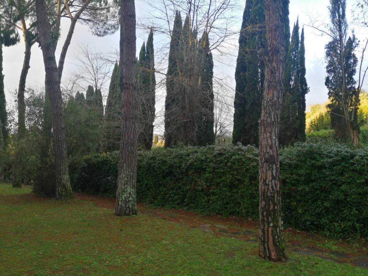 Appartamento La Casa Di Duccio Firenze