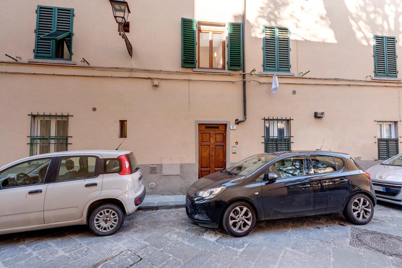 Mamo - Conce * Firenze