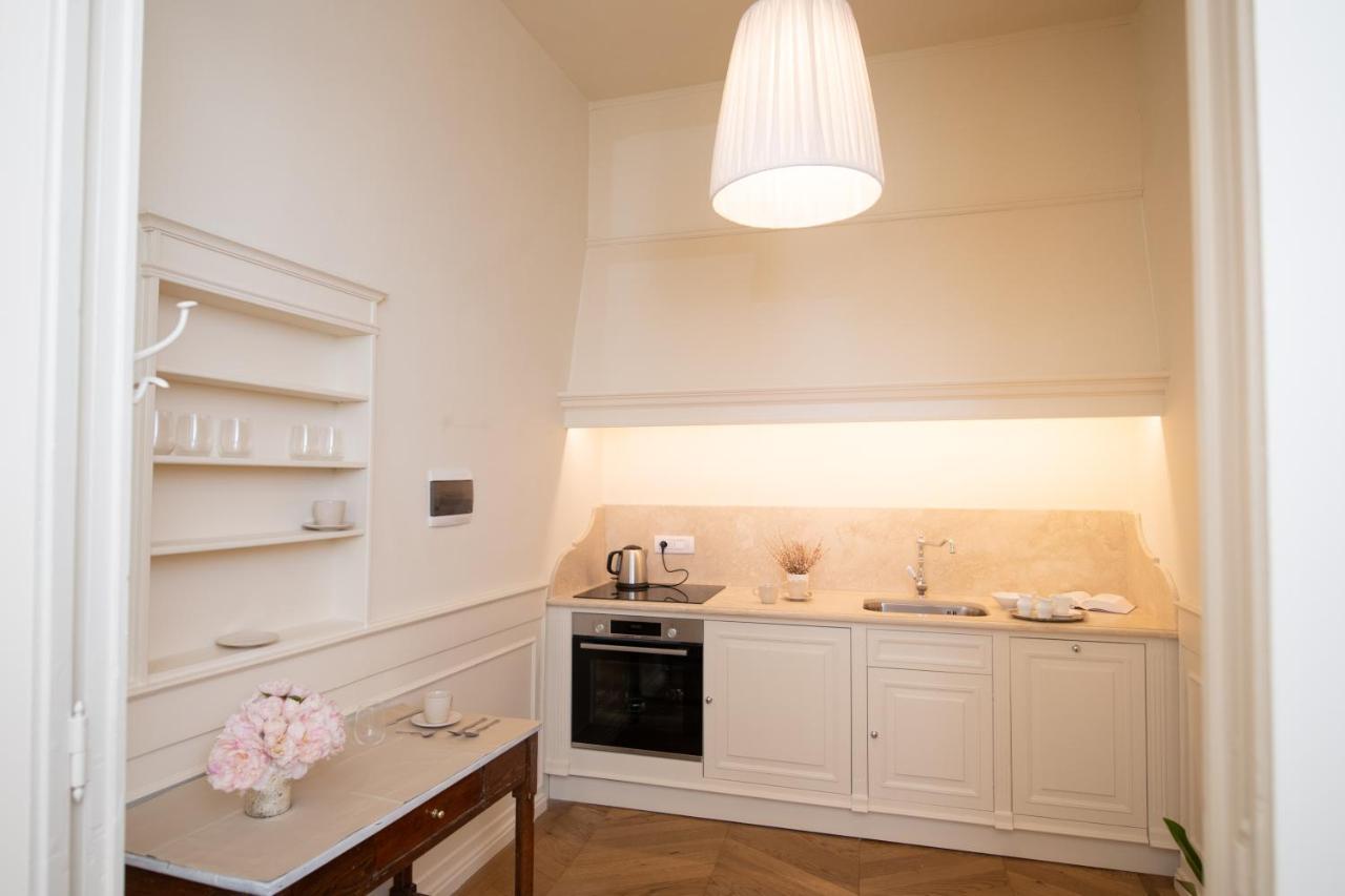 New Maison Allegra Just In Front Pitti Palace Appartamento Firenze