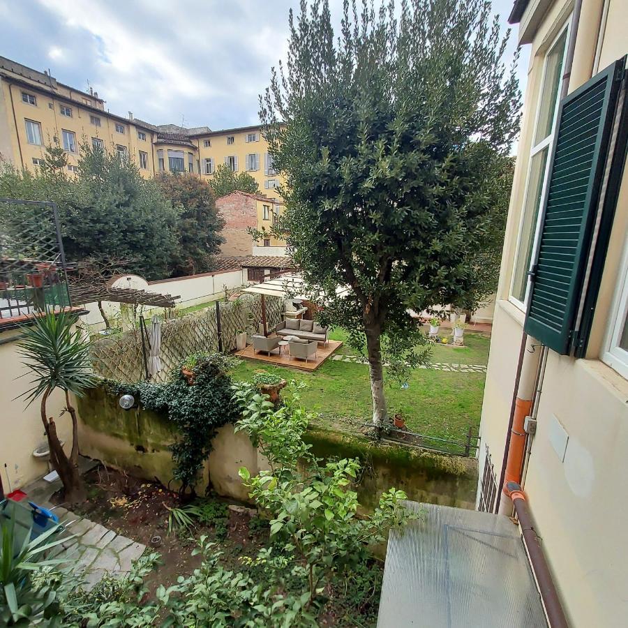Amalia - Via San Zanobi