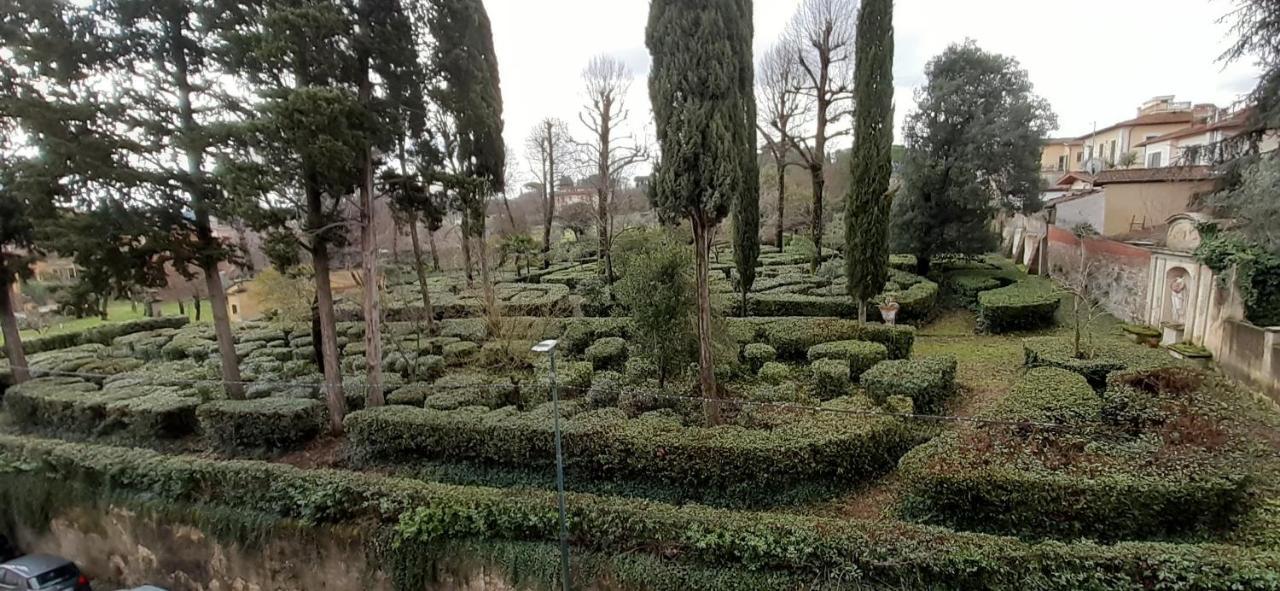 L'albero Di Garibaldi Firenze