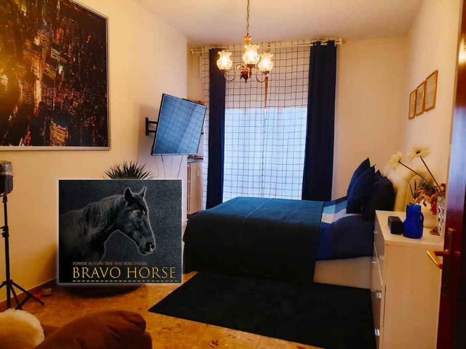 Bravo Horse Alloggio in famiglia Firenze