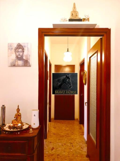 Bravo Horse * Firenze