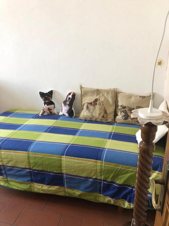 Solo Traveller Bedroom In Homestays Center Alloggio in famiglia