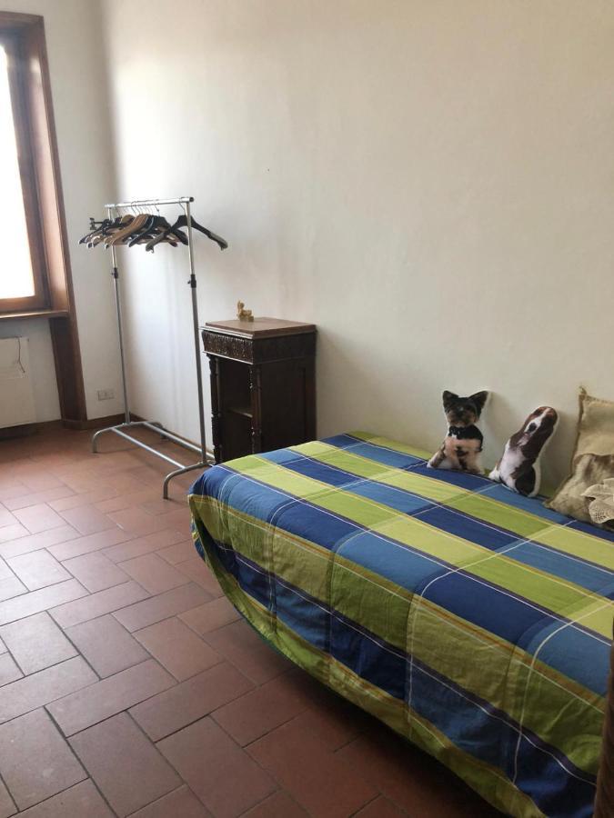 Solo Traveller Bedroom In Homestays Center *