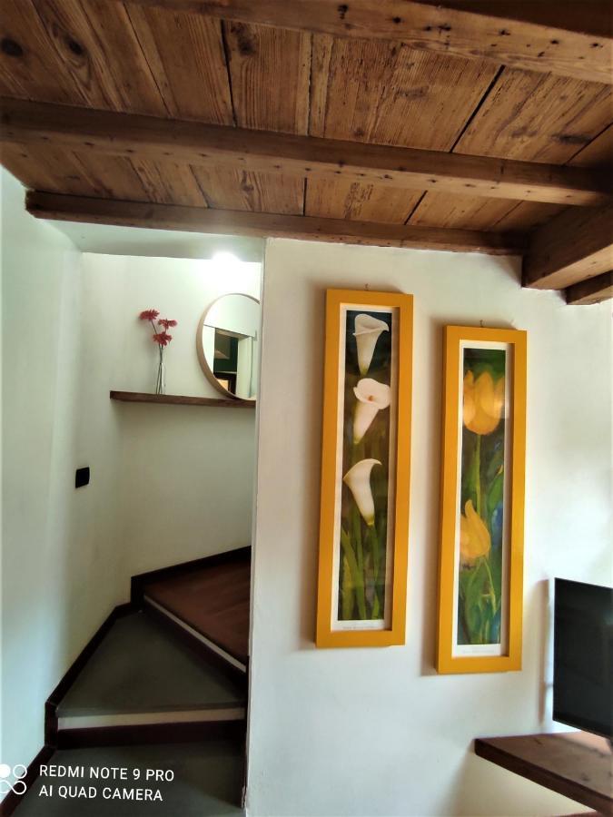Careggi Garden * Firenze
