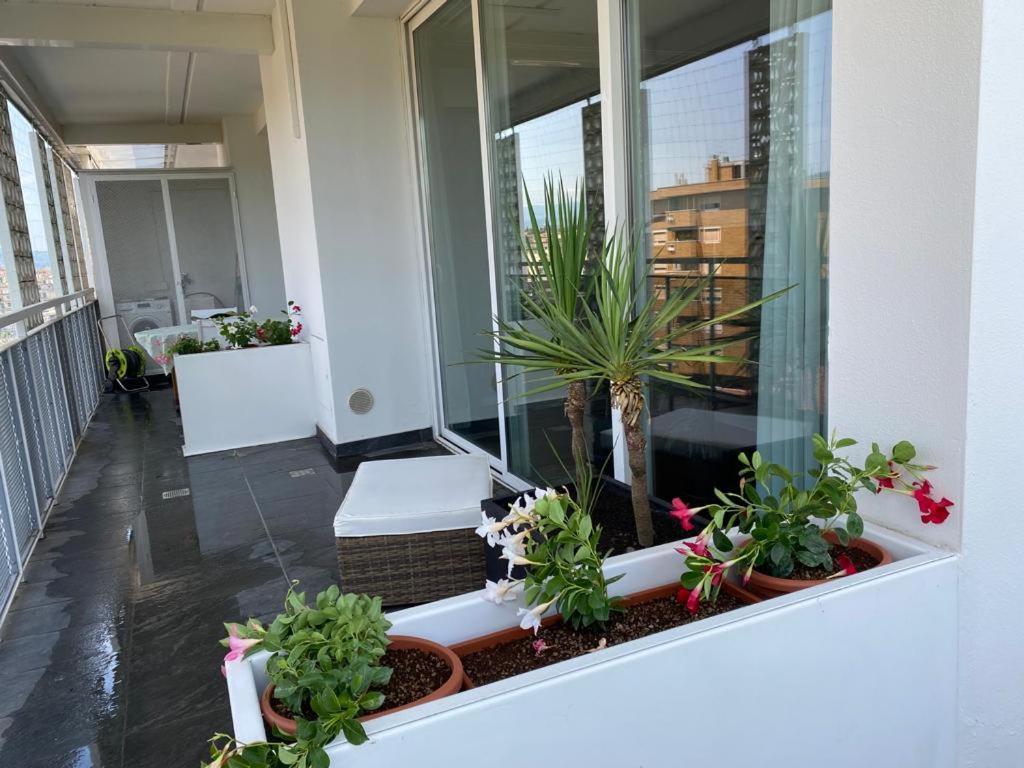 Attico Incantevole Con Terrazza Panoramica Firenze